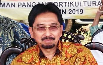 Sejuta Hektar, Dirjen PSP Optimistis Target Asuransi Pertanian 2019 Tercapai